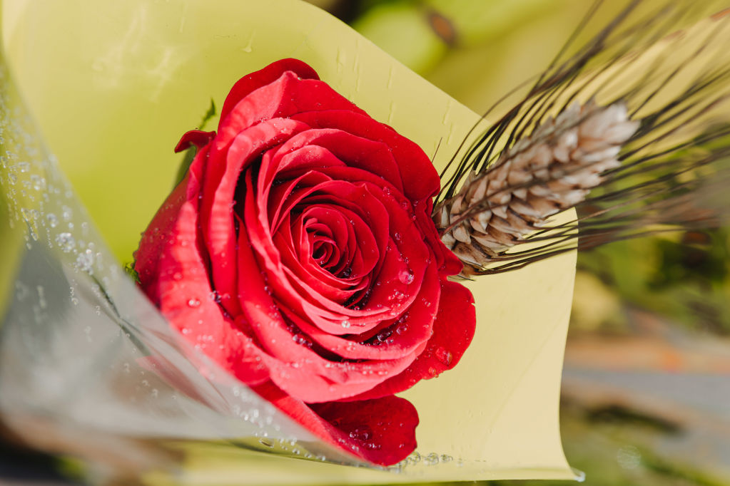 Sant Jordi 2018